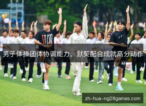 男子体操团体协调能力，默契配合成就高分动作